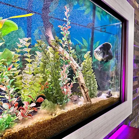 Διαμέρισμα Sabino Street Σάντα Κρουζ Τενερίφης