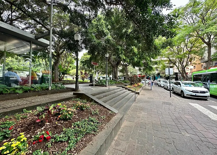 Sabino Street Santa Cruz de Tenerife