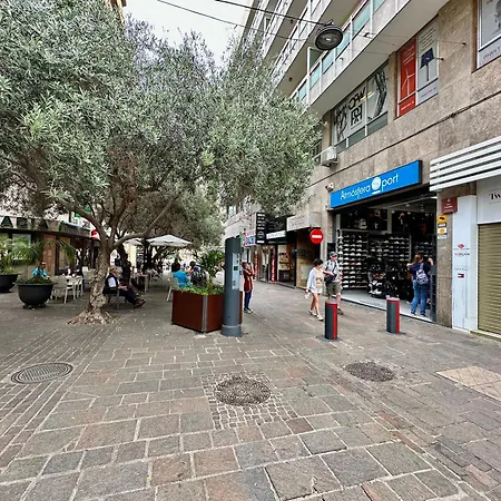 Apartment Sabino Street