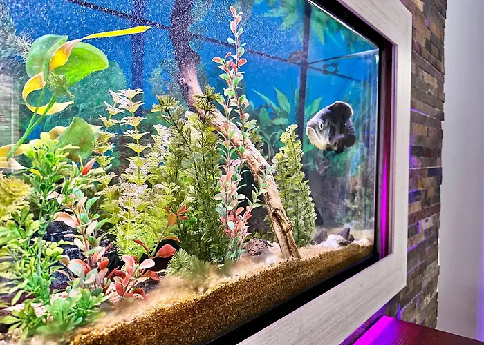 Διαμέρισμα Sabino Street Σάντα Κρουζ Τενερίφης